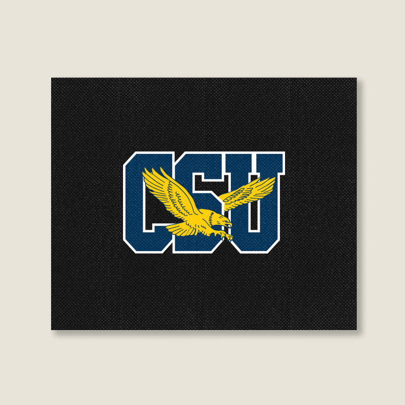 Cool,coppin,state,eagles Landscape Canvas Print | Artistshot