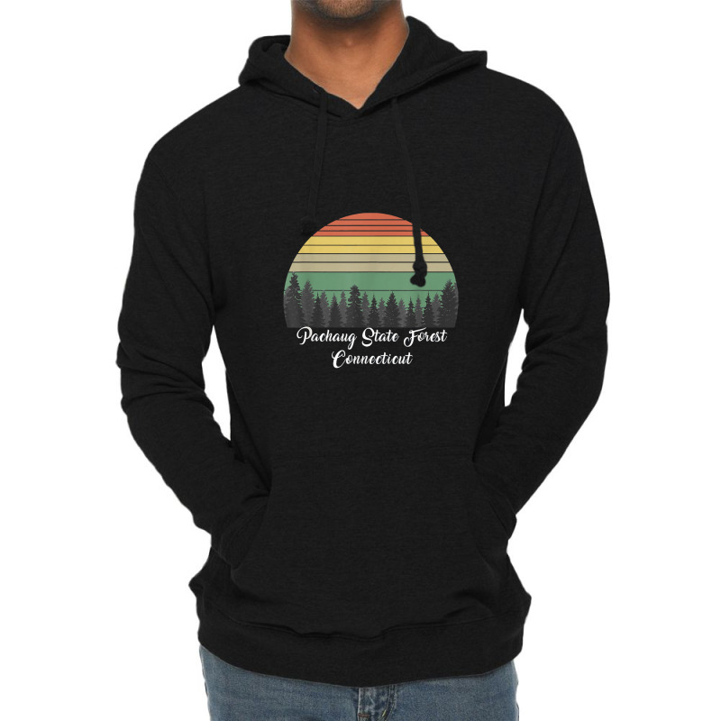 Pachaug State Forest Lightweight Hoodie by celanasubek | Artistshot