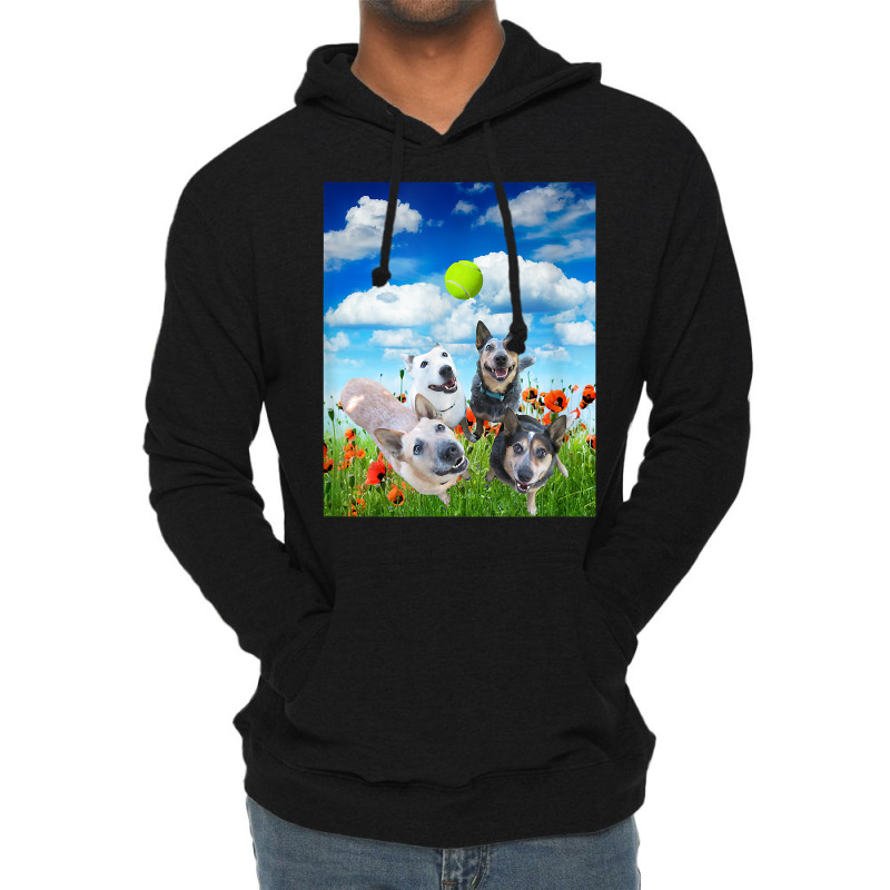 Blue Red White Heeler Cattle Dogs Playing Ball T Shirt Lightweight Hoodie | Artistshot