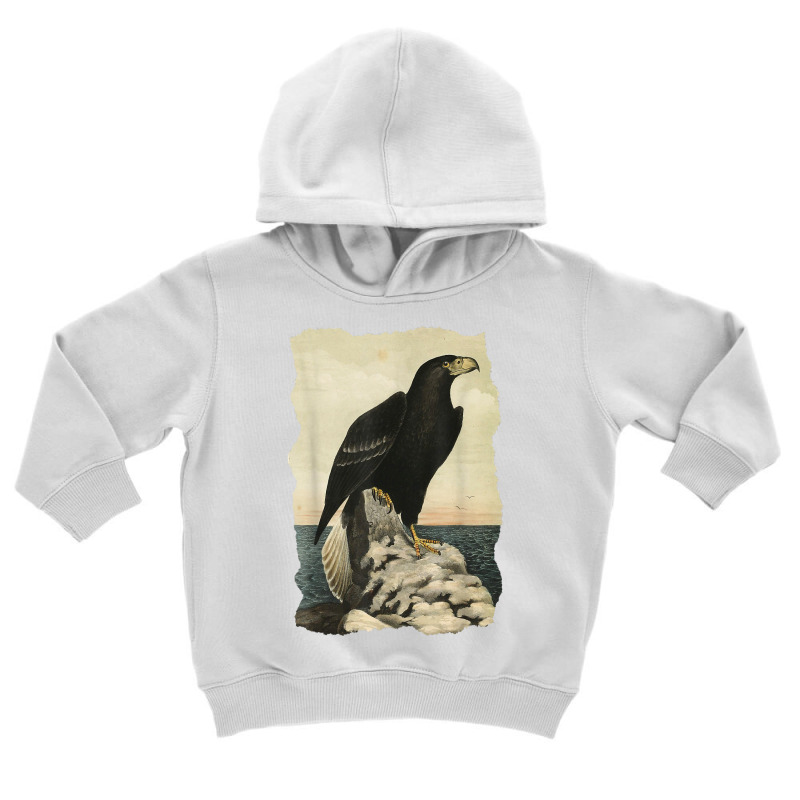 Northen Steller's Sea Eagle   Bird Of Prey   Raptor Seascape T Shirt Toddler Hoodie by bhuvanseeliger | Artistshot