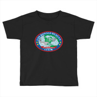 Uss Ronald Reagan Toddler T-shirt | Artistshot