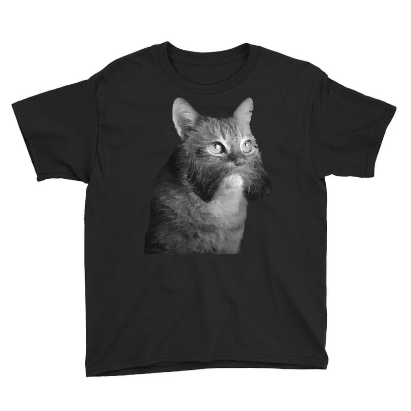 Cat With Sideburns T Shirtcat With Sideburns T Shirt (1) Youth Tee by martyprosacco868 | Artistshot