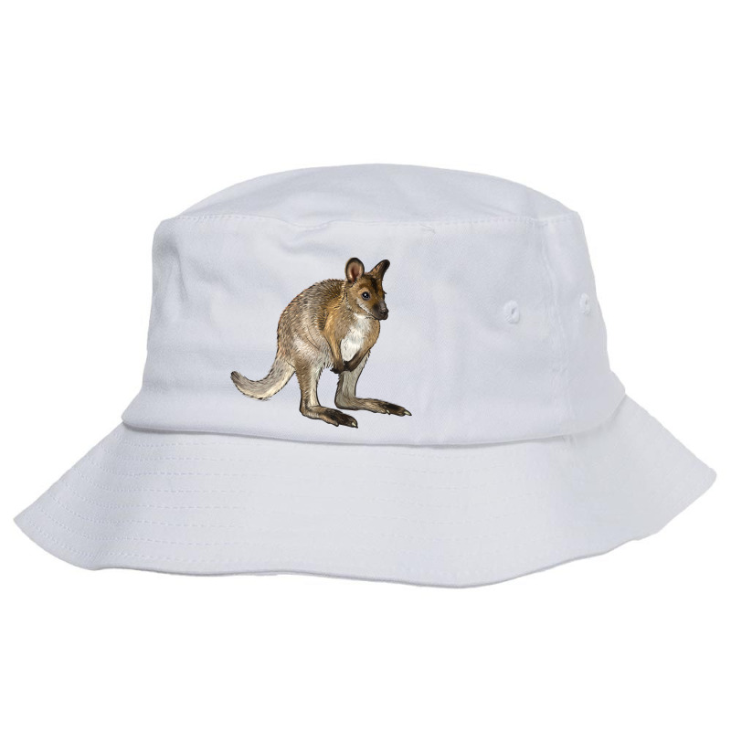 Hand Drawn Wallaby Animal Bucket Hat by LillyAllenDesigns | Artistshot