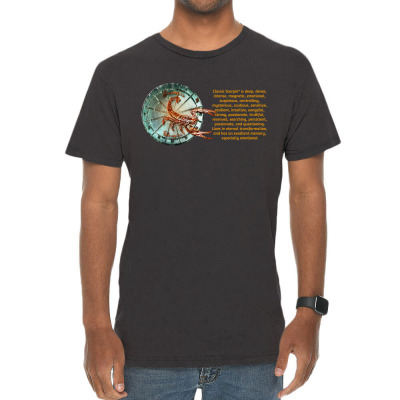Scorpion Sign Zodiac Horoscope Zodiac Astrology T-shirt Vintage T-shirt Designed By Arnaldo Da Silva Tagarro