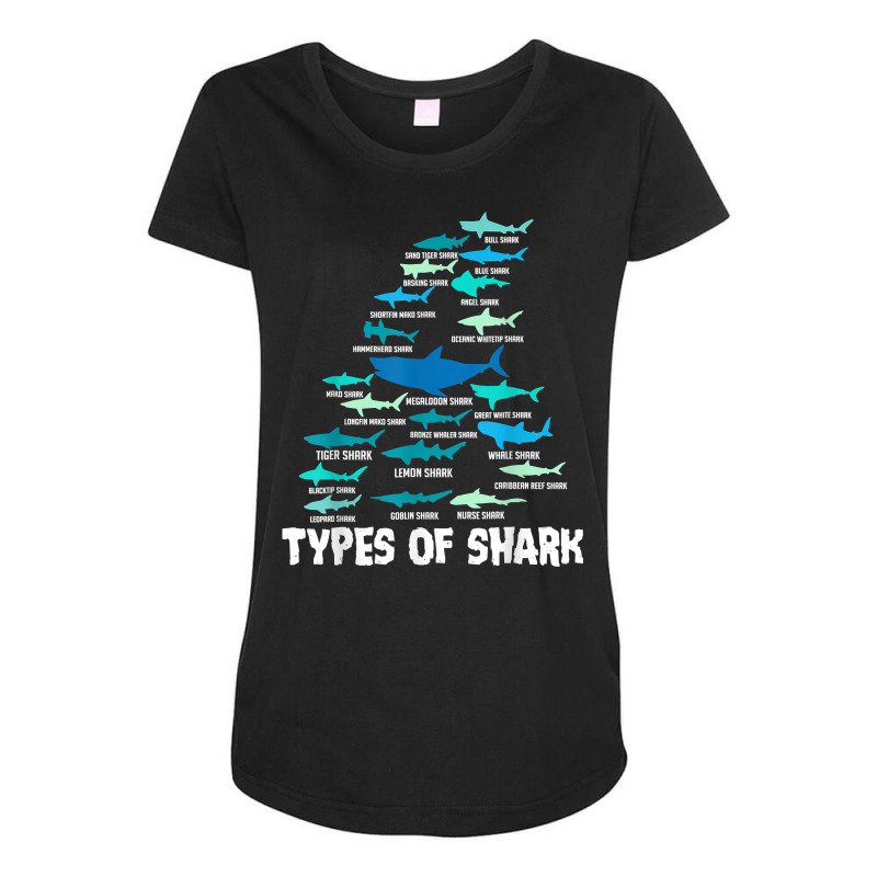 Types Of Shark Megalodon Great White Nurse Shark Men Women T Shirt Maternity Scoop Neck T-shirt by maionexzweddel1i | Artistshot