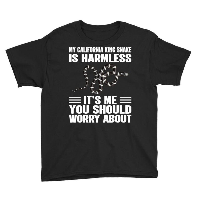 Its Me You Should Worry About   California King Snake Pullover Hoodie Youth Tee | Artistshot