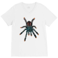 Pink Toe Tarantula V-neck Tee | Artistshot