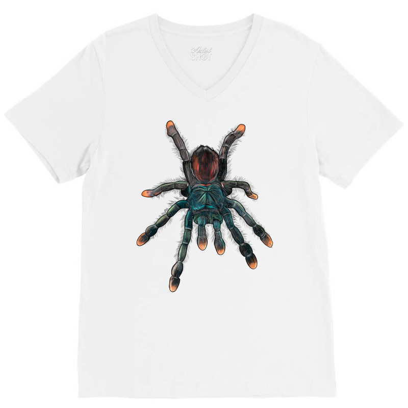 Pink Toe Tarantula V-Neck Tee by LillyAllenDesigns | Artistshot