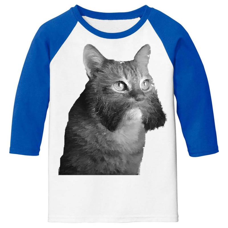 Cat With Sideburns T Shirtcat With Sideburns T Shirt (1) Youth 3/4 Sleeve by routskeleton | Artistshot