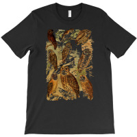 Birds Of Prey T  Shirt Many Different Owls! T  Shirt T-shirt | Artistshot