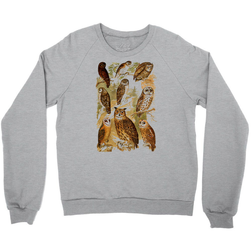 Birds Of Prey T  Shirt Many Different Owls! T  Shirt Crewneck Sweatshirt | Artistshot