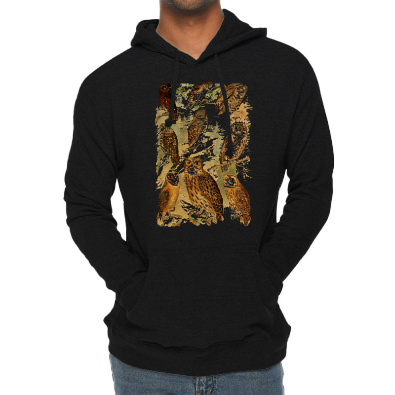 Birds Of Prey T  Shirt Many Different Owls! T  Shirt Lightweight Hoodie | Artistshot