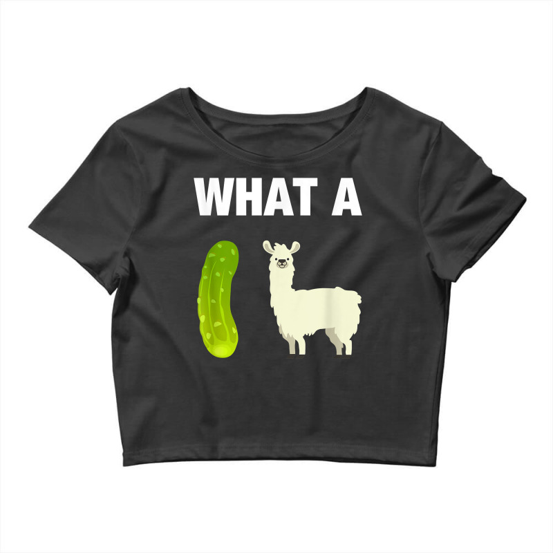 Funny Llama Lover Pun T Shirt What A Dill Llama (dilemma) Crop Top by adrienskradski | Artistshot