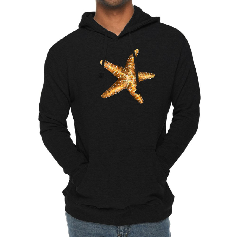 Starfish Lightweight Hoodie | Artistshot