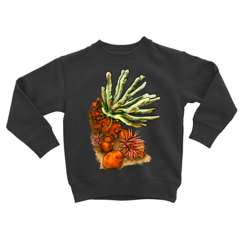 Coral Reef Toddler Sweatshirt | Artistshot