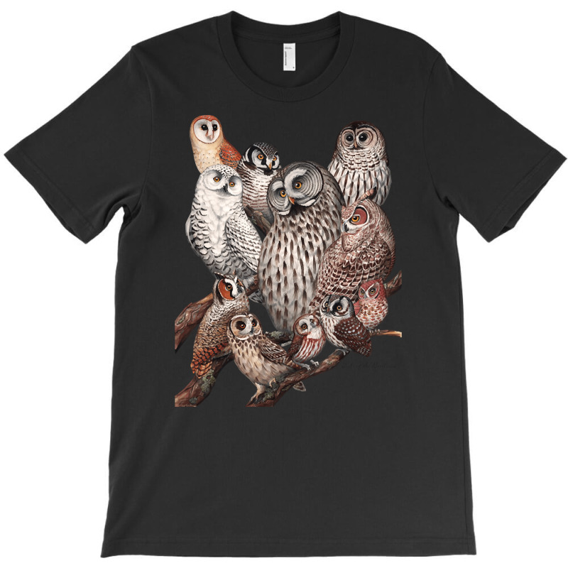 Owls Of The Northeast, Owls Of The Northeast Art, Owls Of The Northeas T-shirt | Artistshot