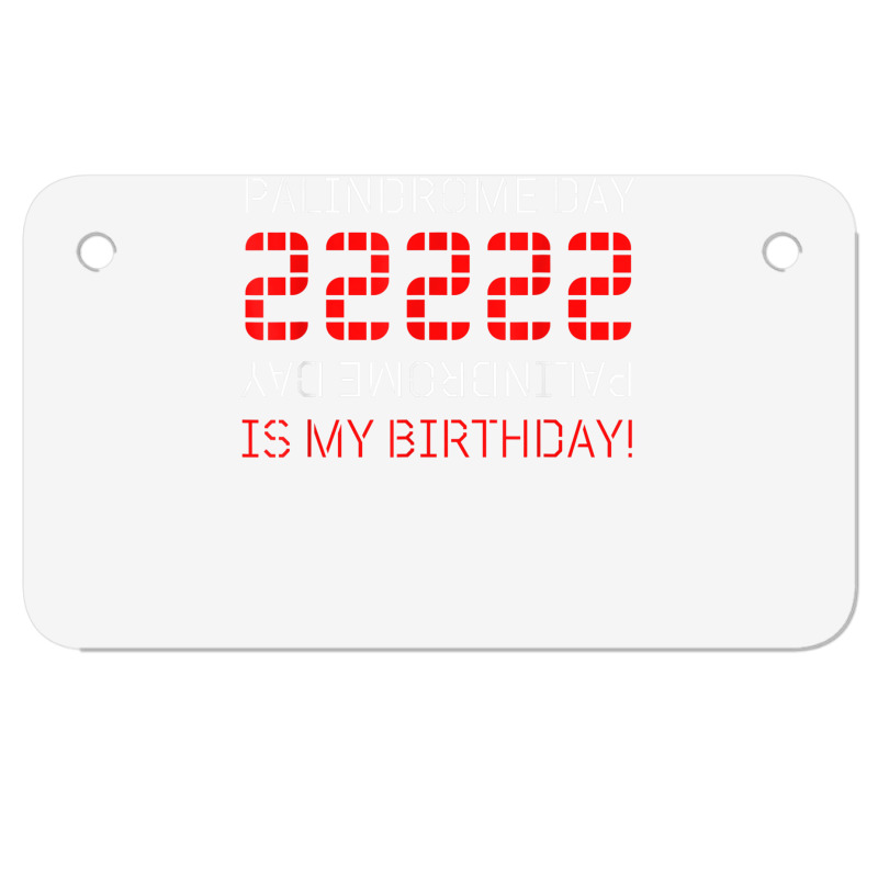 Palindrome Day 22222 Is My Birthday February 22 2022 Twosday T Shirt Motorcycle License Plate | Artistshot