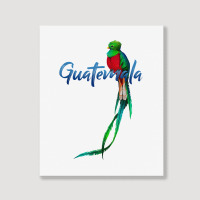 Guatemala Quetzal T Shirt Portrait Canvas Print | Artistshot