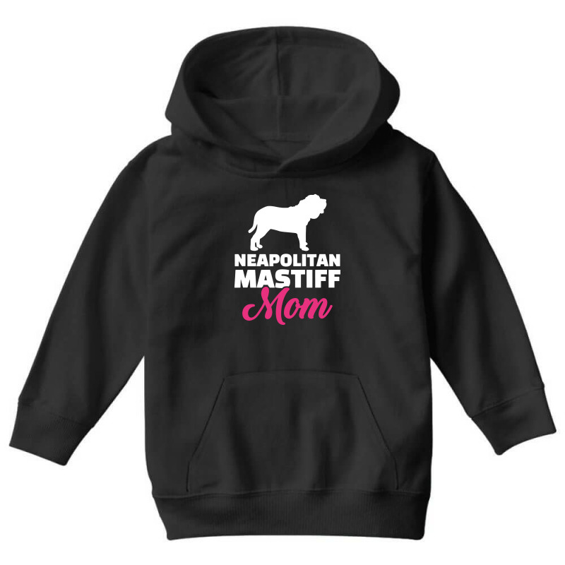 Neapolitan Youth Hoodie | Artistshot