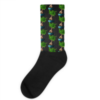 Ficus Ginsenge Socks | Artistshot