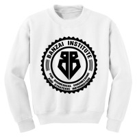 Biomedical Engineering Banzai Institute Youth Sweatshirt | Artistshot