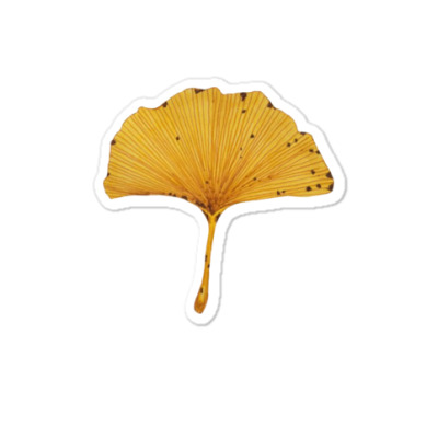 O Ginkgo Leaf Tree Sticker Designed By Warning
