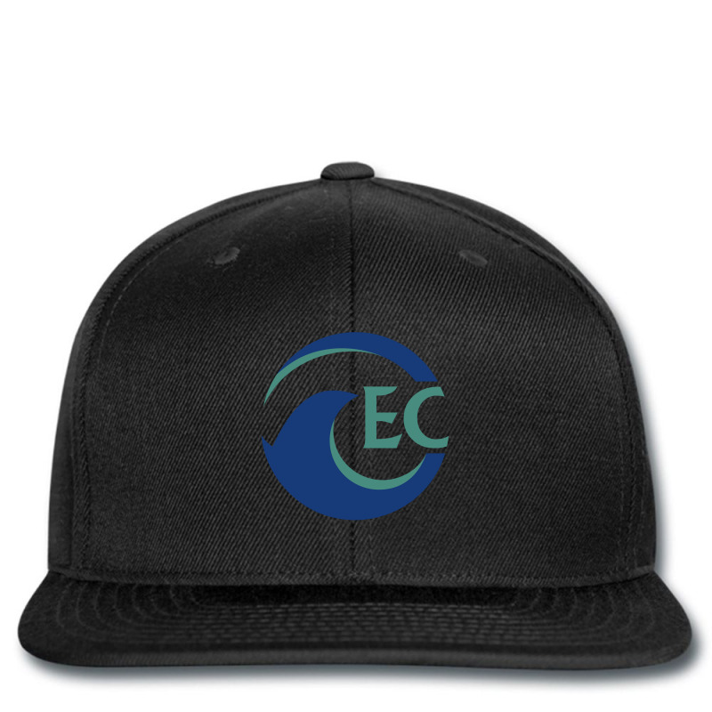 Eckerd College Tritons Printed hat by DelilahAgnes | Artistshot