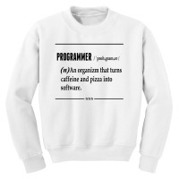 Programmer  Noun Youth Sweatshirt | Artistshot