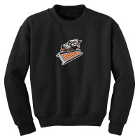 Very Cool Sheffield Steelers Youth Sweatshirt | Artistshot