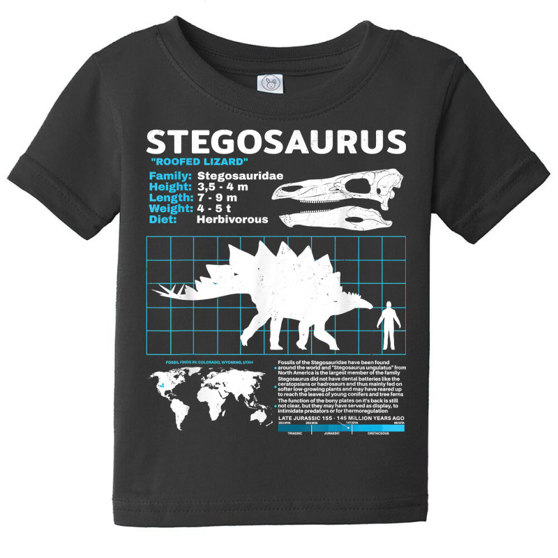 Stegosaurus Fact Sheet Dinosaur Facts T Shirt Baby Tee | Artistshot