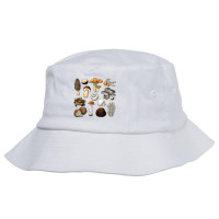 Vintage Mushroom Retro Fungi Foraging Mycology T Shirt Bucket Hat | Artistshot