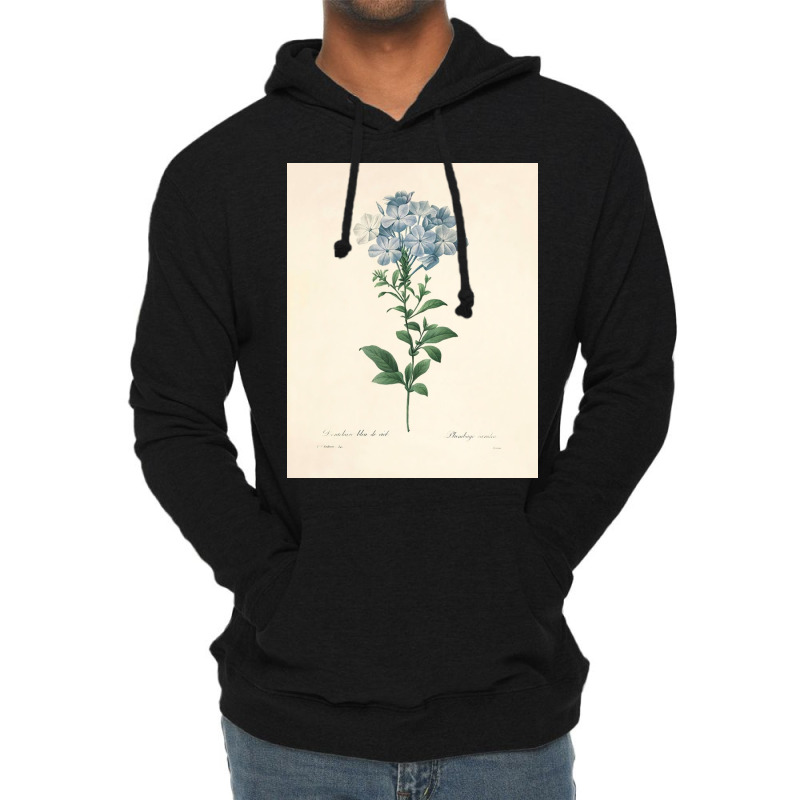 Flower Market Blue  Botanical Art Prints Home Deco Lightweight Hoodie by brianpresley51 | Artistshot