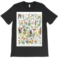 Flower Market Vintage Annual  Print Botanical T-shirt | Artistshot