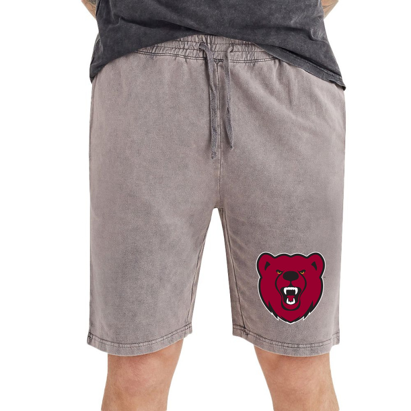 Men's Red Ursinus Bears Long Sleeve T-Shirt