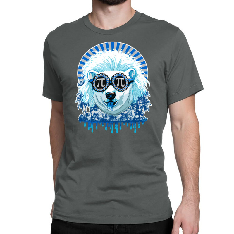 Pi Polar Bear Classic T-shirt | Artistshot