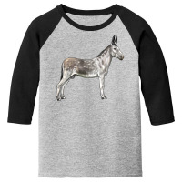 Andalusian Donkey Youth 3/4 Sleeve | Artistshot