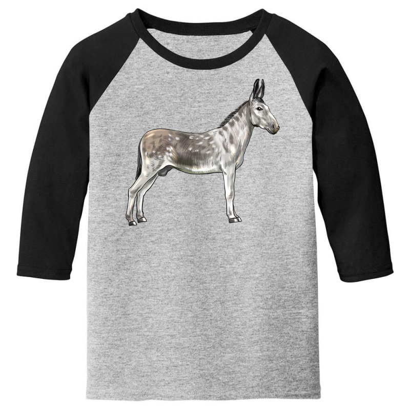 Andalusian Donkey Youth 3/4 Sleeve | Artistshot