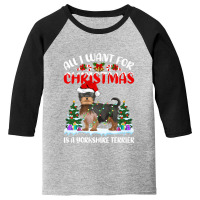 Funny Santa All I Want For Christmas Is A Yorkshire Terrier Premium T Youth 3/4 Sleeve | Artistshot