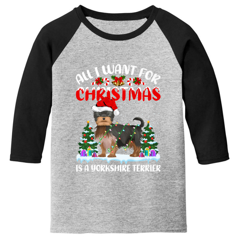 Funny Santa All I Want For Christmas Is A Yorkshire Terrier Premium T Youth 3/4 Sleeve by Adriana_Torquemada | Artistshot