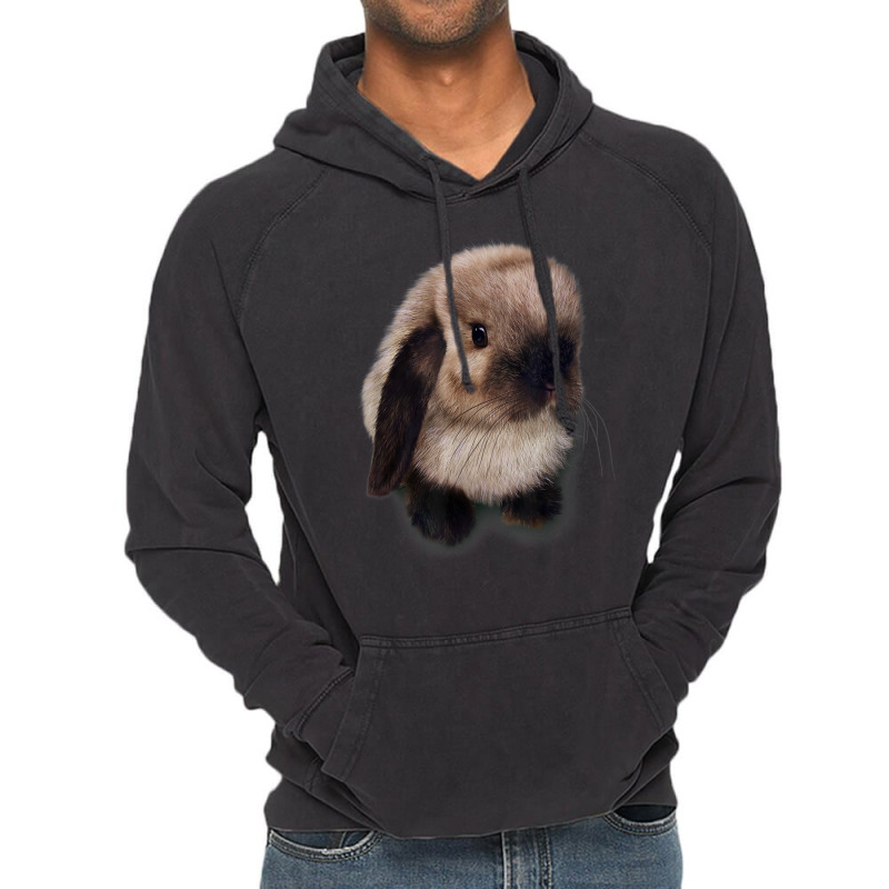 Siamese Holland Lop Bunny Rabbit Vintage Hoodie | Artistshot