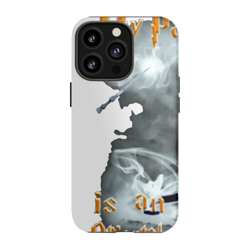 Oriental Shorthair Iphone 13 Pro Case | Artistshot