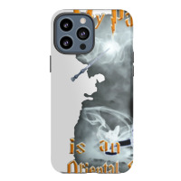 Oriental Shorthair Iphone 13 Pro Max Case | Artistshot