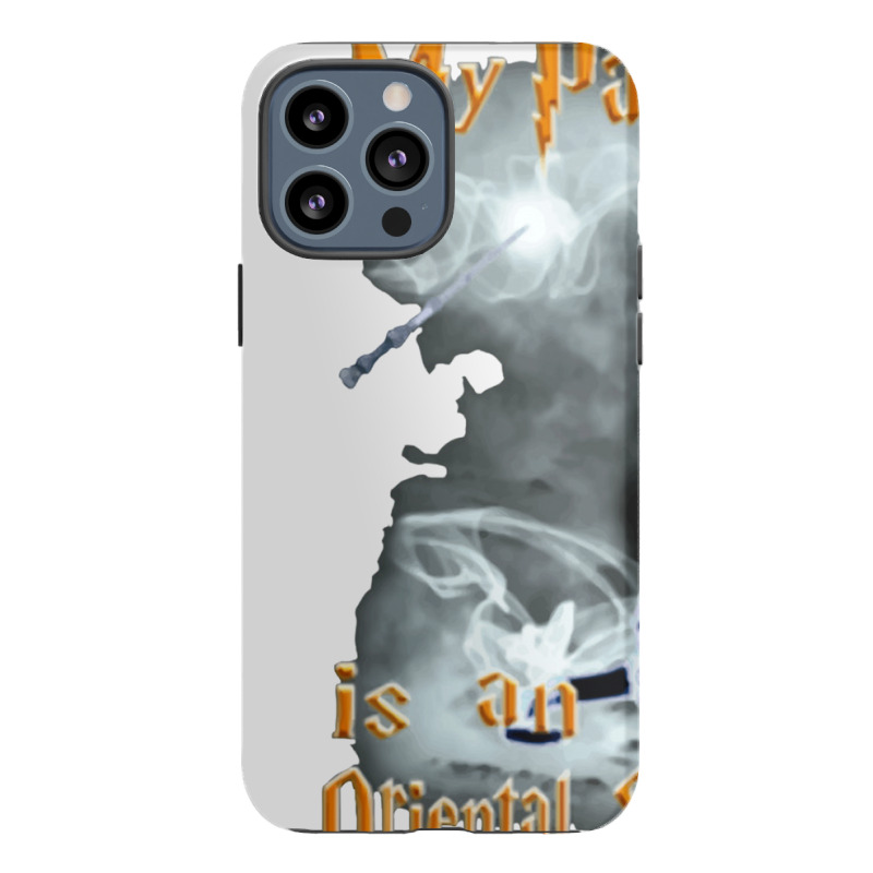 Oriental Shorthair Iphone 13 Pro Max Case | Artistshot