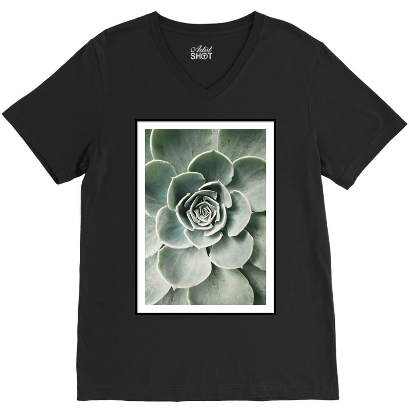 Cactus Flower  Market V-neck Tee | Artistshot