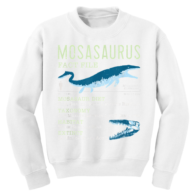 Mosasaurus T Shirt  Mosasaur Facts Jurassic Dinosaur Tshirt T Shirt Youth Sweatshirt | Artistshot