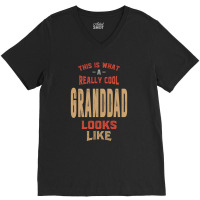 Granddad V-neck Tee | Artistshot