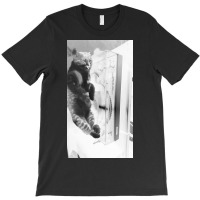 Cat On The Turntable T-shirt | Artistshot