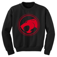 Thunder Cats Youth Sweatshirt | Artistshot