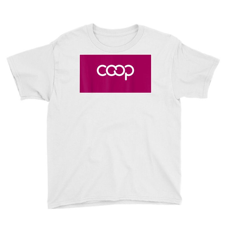 International Co Operative Alliance Organization Flag T Shirt Youth Tee | Artistshot