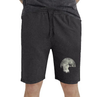 Boxer Dog And Moon Halloween Vintage Short | Artistshot